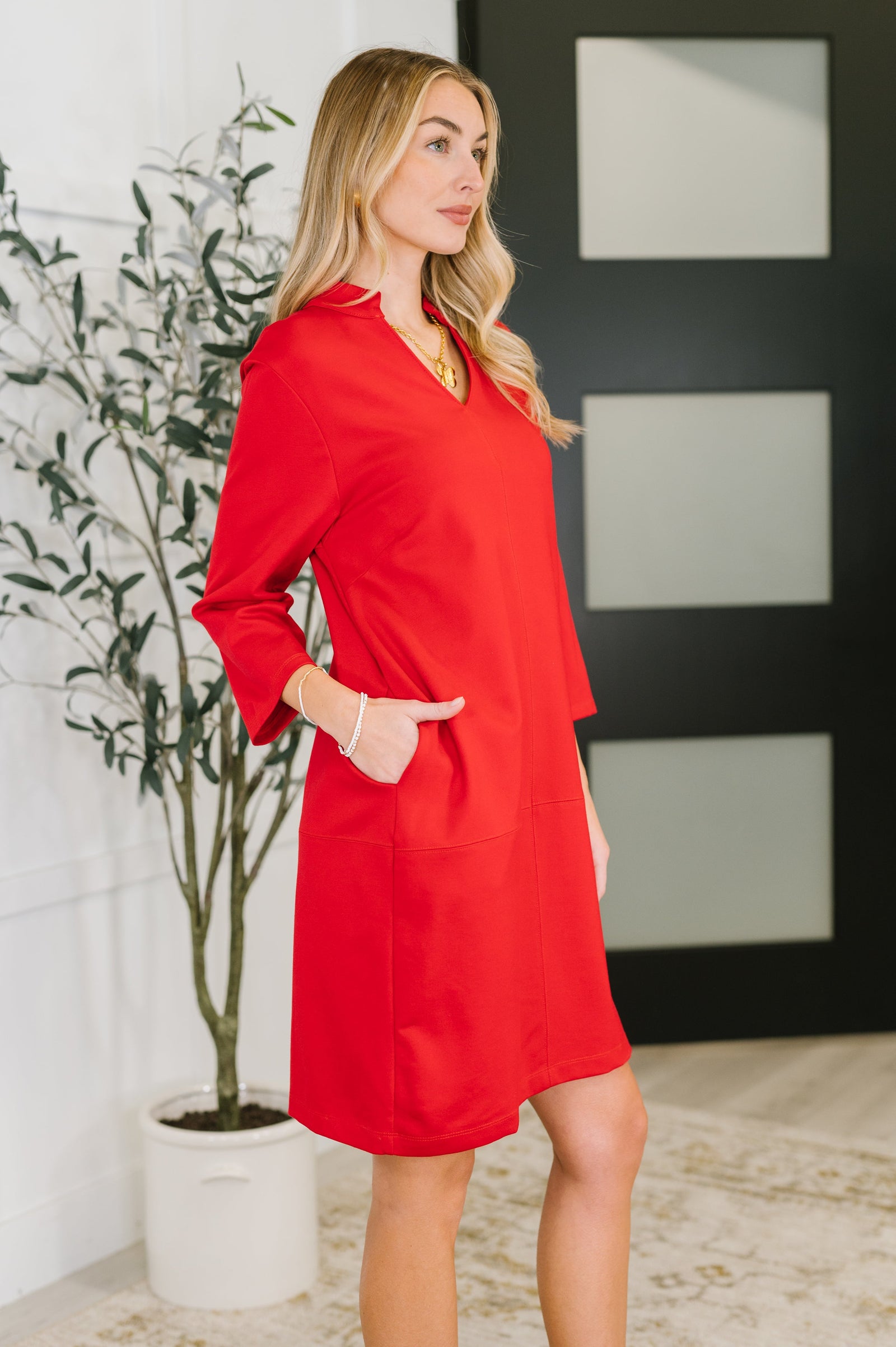 Portfolio Quarter Sleeve Dress in Red