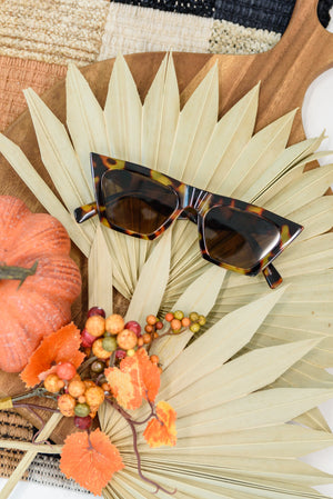 Famous Muse Sunglasses in Tortoise Womens 